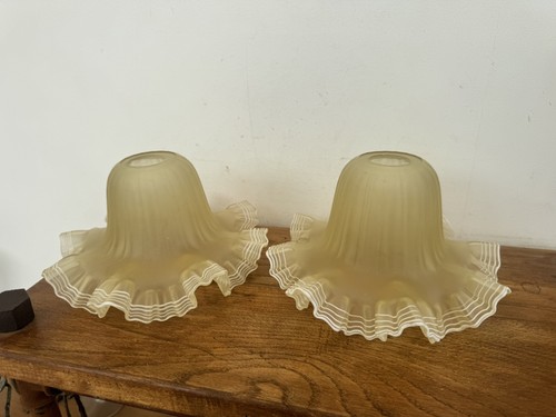 Ancienne paire tulipes - paire,
