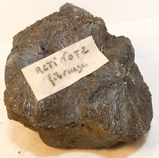 Actinote Fibreuse & Etiquette