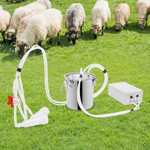 Electric cow milker pulsation - cow,