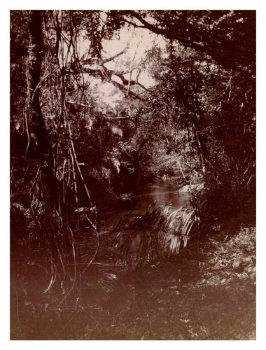 Mexique terres chaudes - terres,