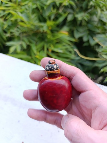 Chinese realgar snuff - , bottle
