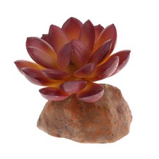 Décoration Aquarium Plante