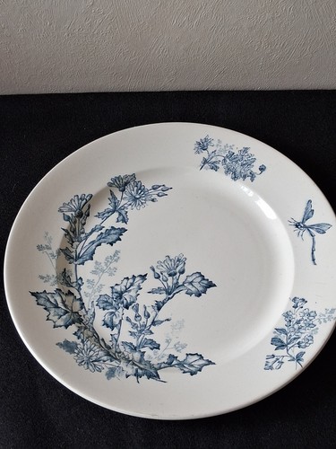 Ancien plat rond - ancien,