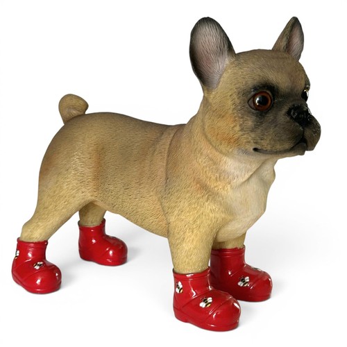 Bouledogue français chien - bouledogue,