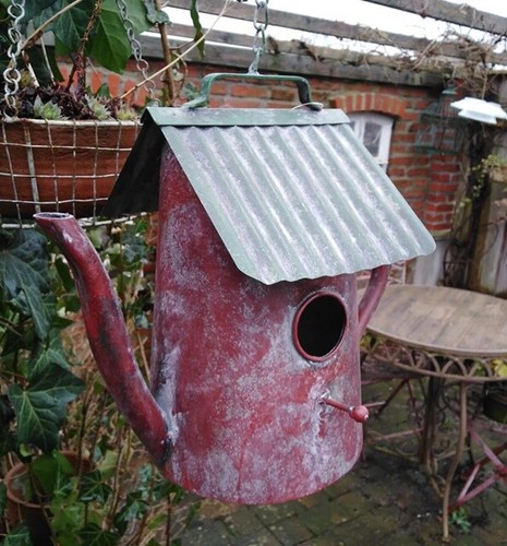 Nichoir pot cafetière - cafetiÈre, oiseau
