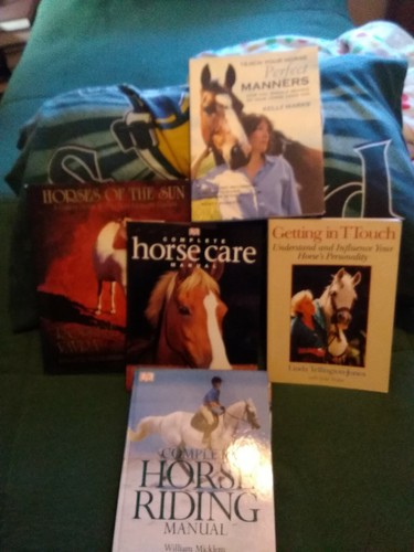 Horses horse lovers riding - horses--horse,