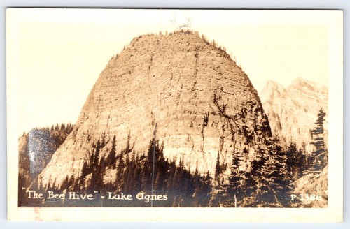 Rppc ruche lac agnes - ruche,
