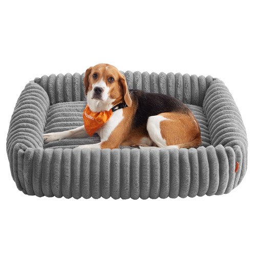 Panier pour chien - chien,,