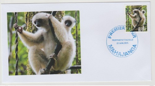 Madagascar 2014 2015 fdc - fdc, 1er