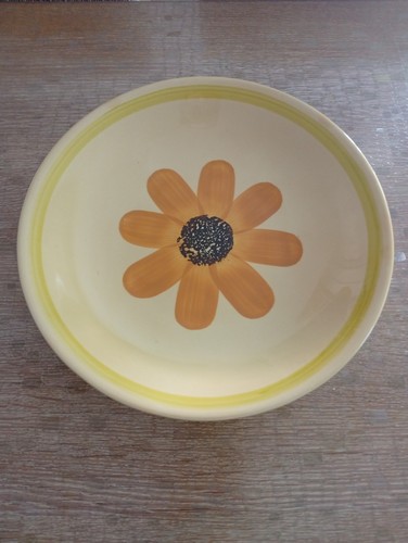 Assiettes plats gien - 17,