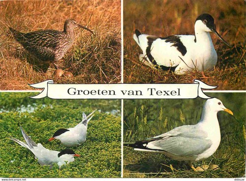 Carte postale animaux - carte,