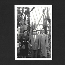 Women Men Costumes Cactus