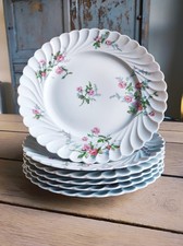 6 grandes assiettes plates en