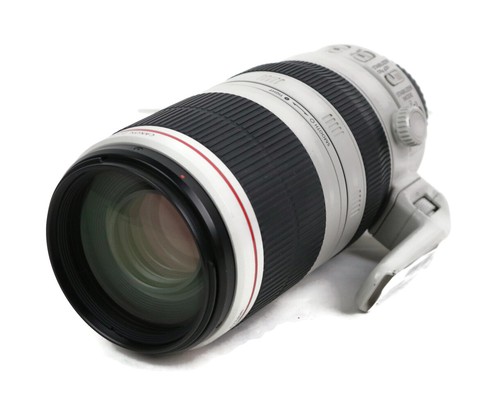 Canon ultrasonic telephoto - canon,