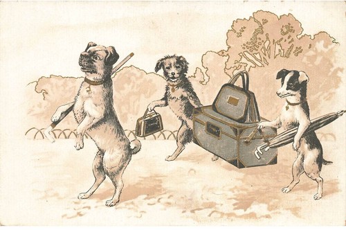 Dogs dc522 travel dog - dog, with