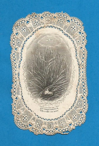 Image pieuse canivet bouasse - canivet,