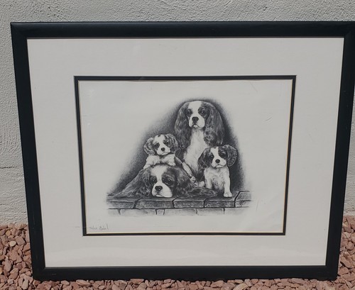 Cavalier king charles spaniels - charles,
