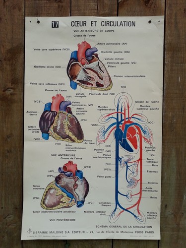 Ancienne affiche medecine - ancienne, medecine-