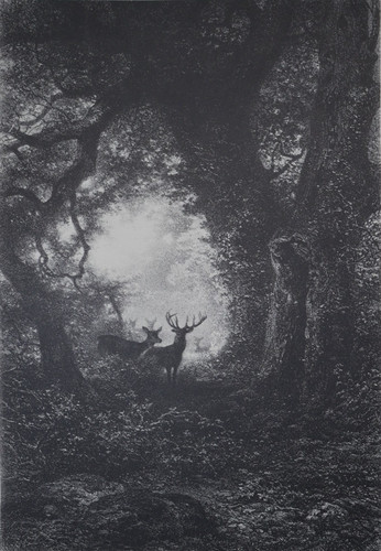 Adolphe mouilleron harde - adolphe,