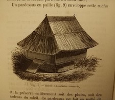 1878- LES ABEILLES- HISTOIRE-