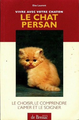 Chat persan elsa - chat, laurent