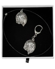 Lhassa Apso - Lot - Le Chien