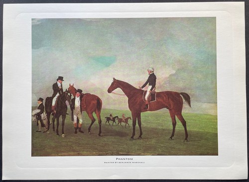 Chevaux