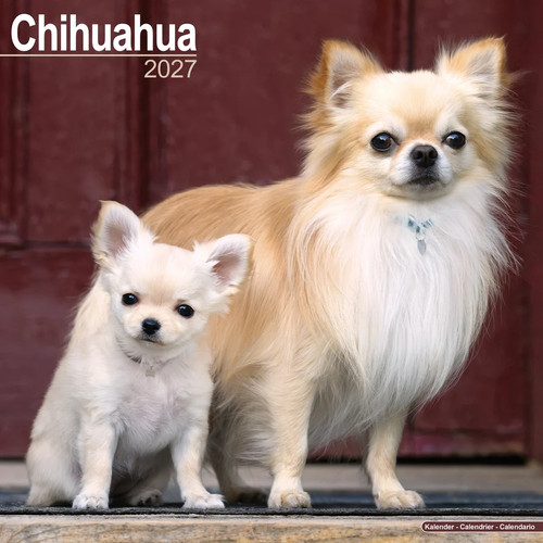 Calendrier 2027 chihuahua - 2027,