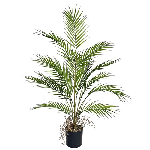 Plante artificielle areca - plante,