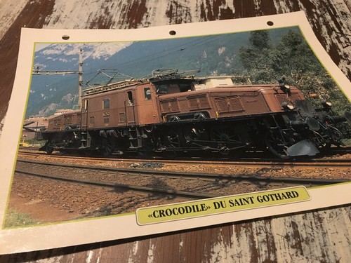 072 loco crocodile saint - 072,