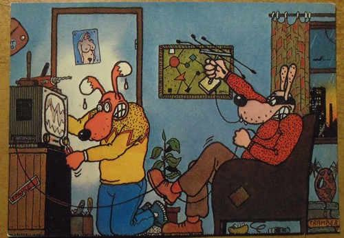 Carte postale william - postale,