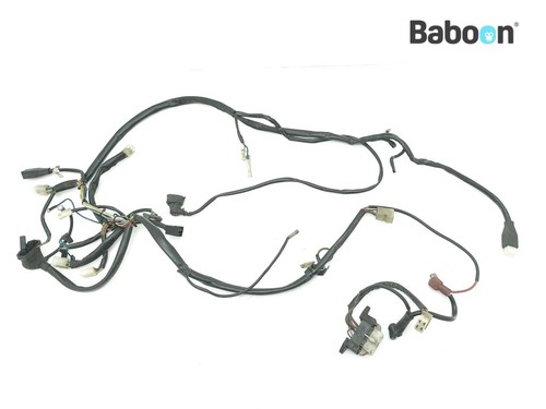 Faisceau câblage ducati - faisceau,