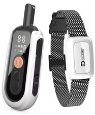 Collier Dressage Chien