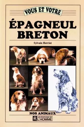 Vous votre épagneul - et,