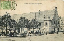 BELGIUM VEGETABLE MARKET GLOVE