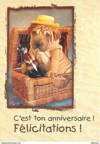 Carte postale animaux - -,