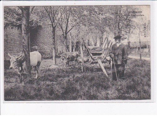 Guerande cultivateur - guerande:,