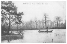 CPA 41 BRIOU ETANG DE LA QUEUE BOIS AUTRY