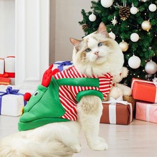 Déguisement de Noël pour