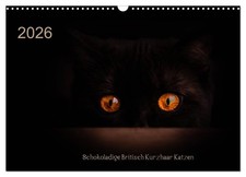 Chats British Shorthair