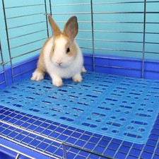  Tapis de sol pour Cage à lapin, 4 pièces, tapis de sol pour Cage à Hamster,