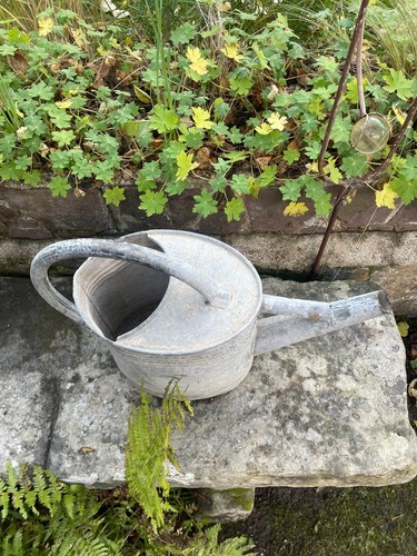 Ancien arrosoir zinc non - en,