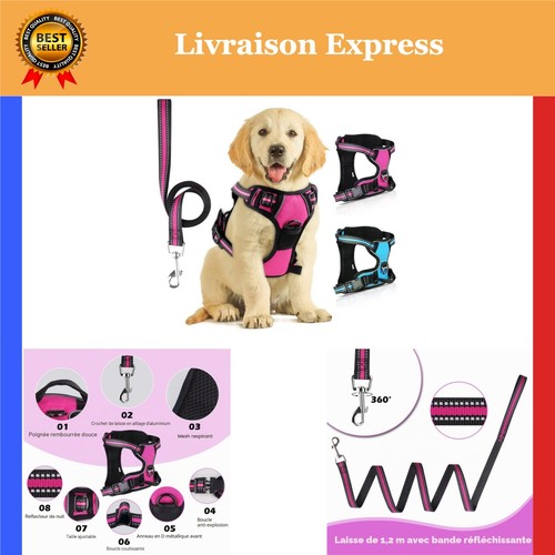 Harnais chien anti traction - chien,