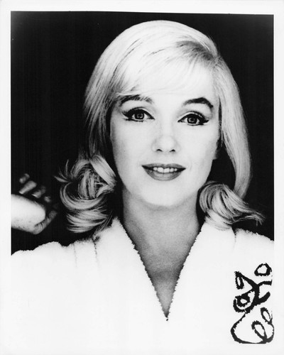 Marilyn monroe photo - ,
