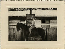 ANTIQUE PHOTO - VINTAGE SNAPSHOT - ANIMAL HORSE RIDE RIDER MIRROR - HORSE