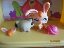 Petshop duo : Tortue #1310 +