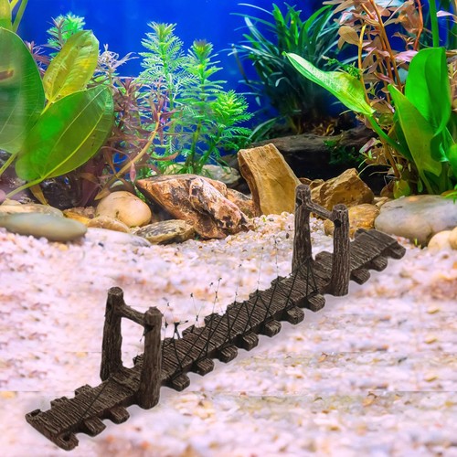 Décoration aquarium pour - d'aquarium,