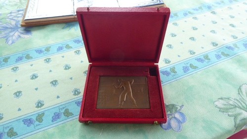 Medaille bronze pain syndicat - pain,