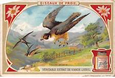 Chromos.AM13351.Liebig.Birds of Prey.Peregrine Falcon