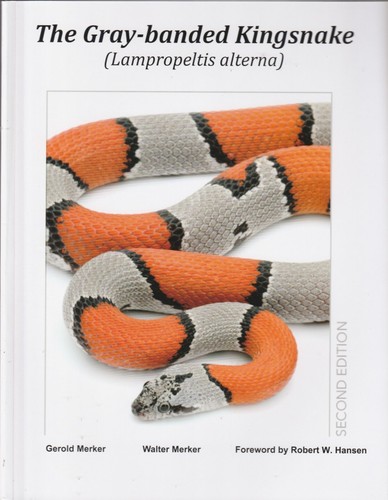 The gray banded - the, gray-banded